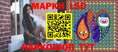 сатива Краснодар