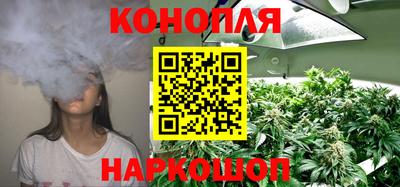 сатива Краснодар