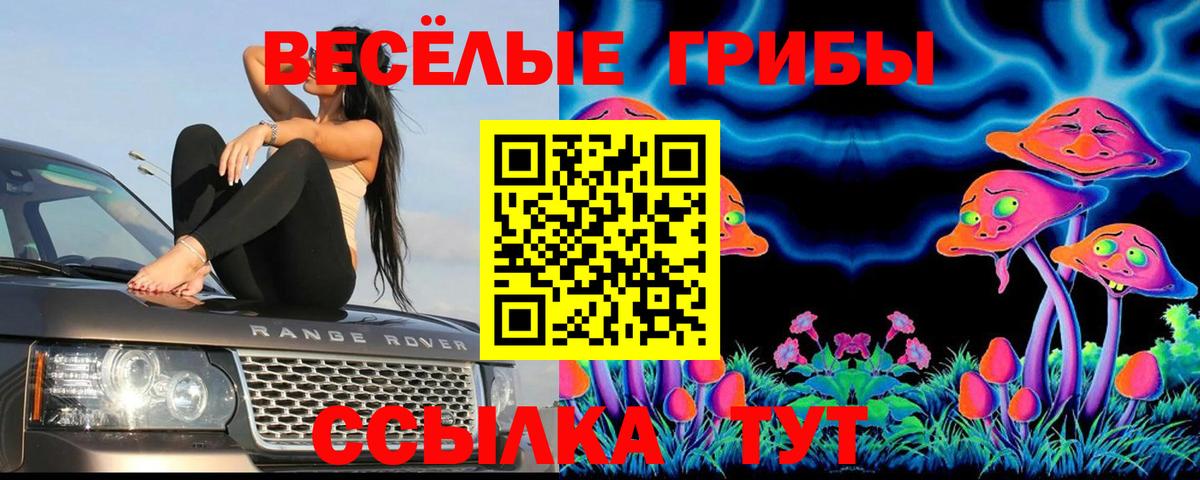 Когалым  Галлюциногенные грибы Cubensis  Галлюциногенные грибы ЛСД  Вход с VPN 